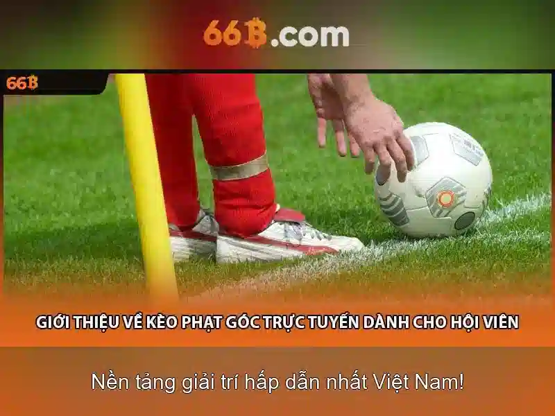 66B: Hiểu biết, ứng dụng và tương lai của mô hình ngôn ngữ lớn