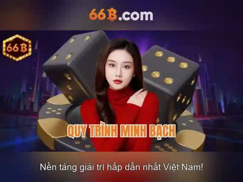 66B là gì?