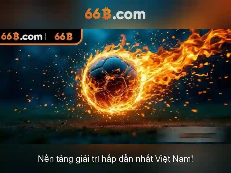 66B là gì?