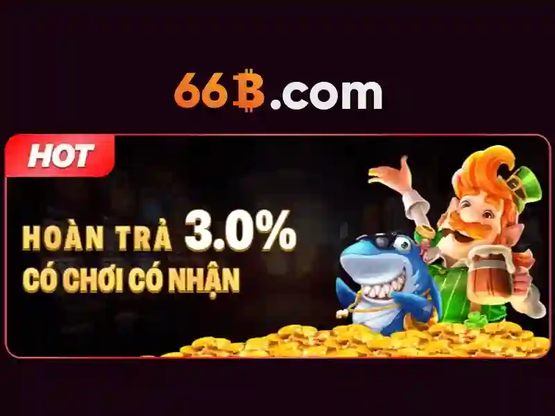Giới thiệu về 66b\n