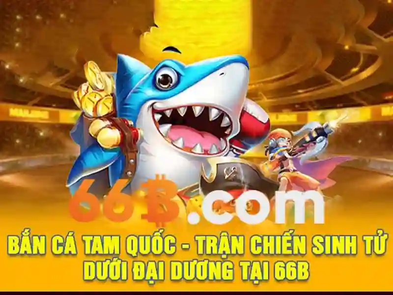 Giới thiệu về 66b\n