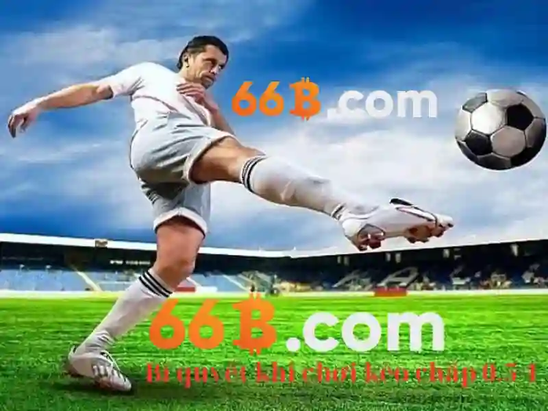 Cac dac diem noi bat cua 66b\n