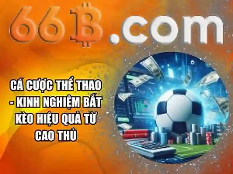 mậu binh 66b – Tổng quan chủ đề và giá trị cốt lõi