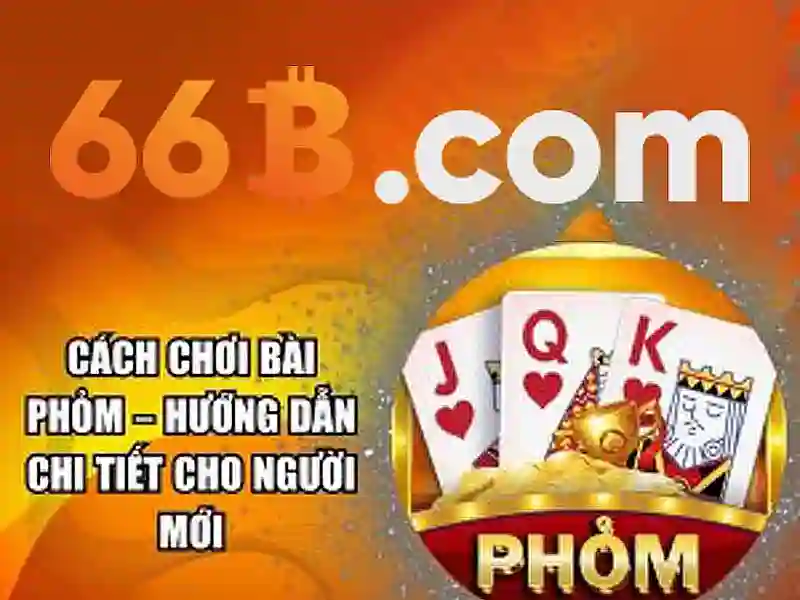 Ưu thế và cạnh tranh