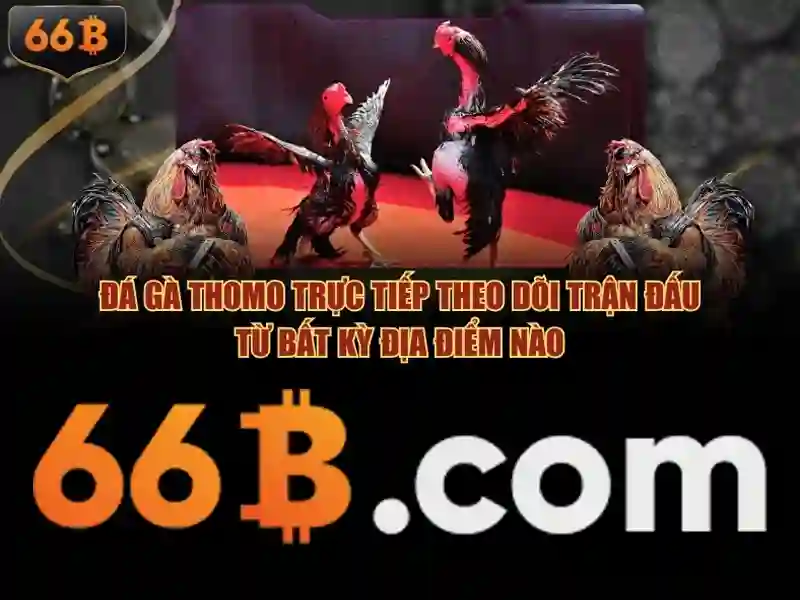 opt 66b – Trải nghiệm và đánh giá về thương hiệu công nghệ