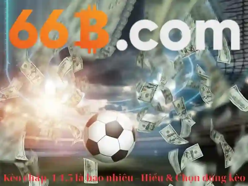 66B là một khái niệm về mô hình ngôn ngữ lớn với 66 tỷ tham số\n