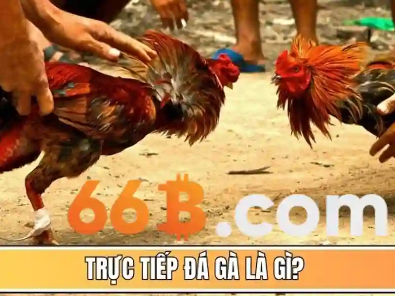 66b: Mô hình ngôn ngữ quy mô lớn với 66 tỷ tham số