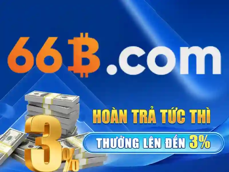 Sản phẩm và dịch vụ liên quan đến 66b mới\n\n