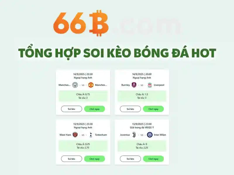 66B là gì?\n